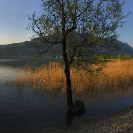 B&B Il Portico Del Conte Bosisio Parini Luaran gambar